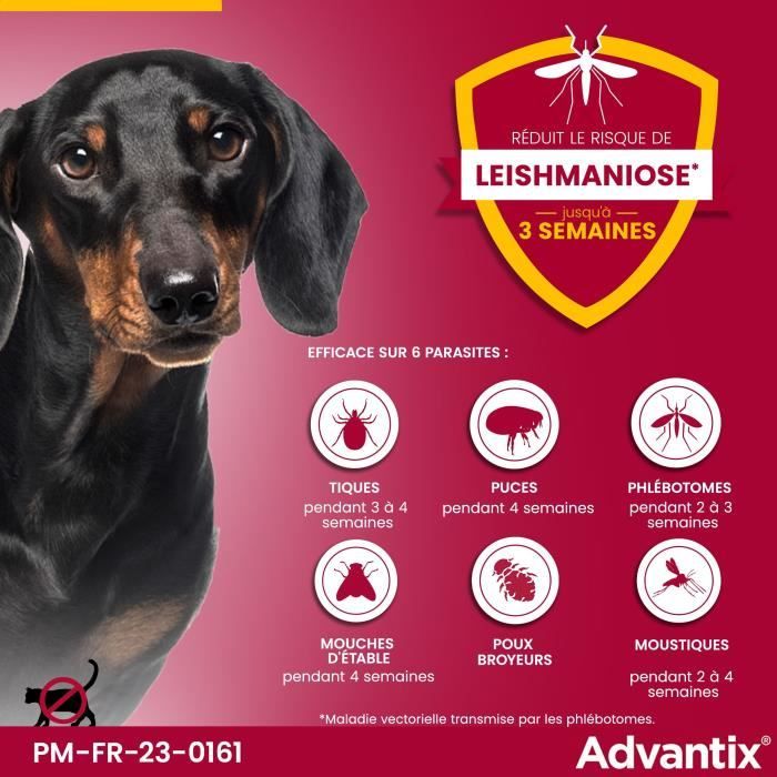 Pipette antiparassitarie ADVANTIX 6 - Per cani di piccola taglia da 4 a 10 kg