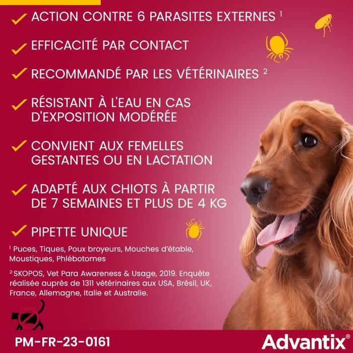Pipette antiparassitarie ADVANTIX 6 - Per cani di piccola taglia da 4 a 10 kg