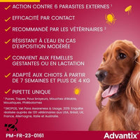 Pipette antiparassitarie ADVANTIX 6 - Per cani di piccola taglia da 4 a 10 kg