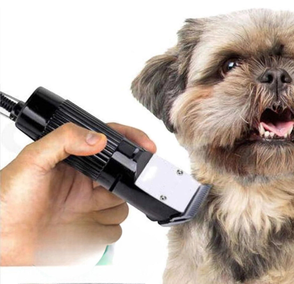 Macchina Tosatrice Professionale Per Cani 30w Con Lama Di Ricambio Tosacane