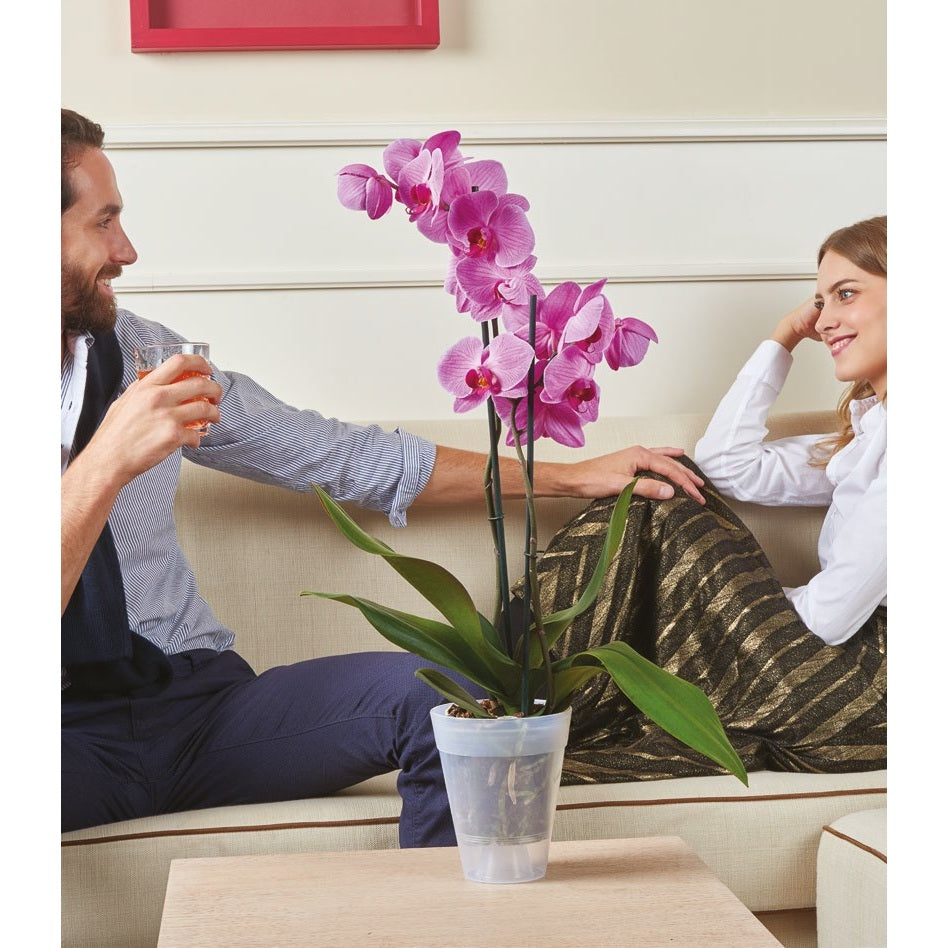 VASO DANTE LOOK D.15XH17,5CM TRASPARENTE.