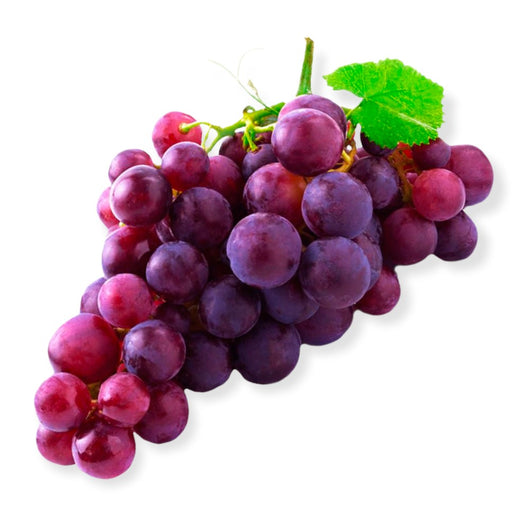 Pianta di UVA VITE innestata DA TAVOLA CARDINAL nera in vaso 18 cm AMDGarden