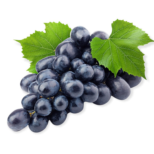 Pianta DI VITE uva vigna da tavola MOSCATO D'AMBURGO NERA IN VASO 16 cm AMDGarden