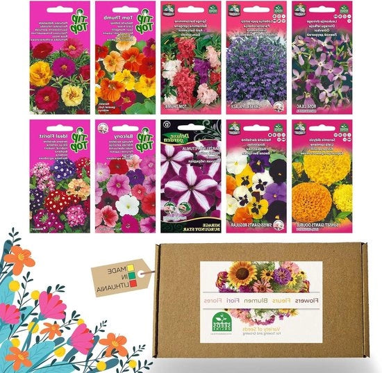 Set di semi per fiori - 10 tipi - fiori da balcone semi - semi colorati per piante - 10 confezioni - semi di fiori selvatici - confezioni di semi - regalo ideale