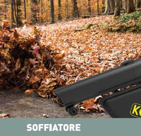 Aspiratore, soffiatore e trituratore foglie