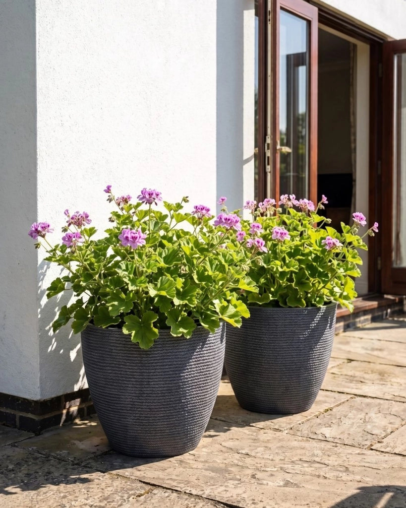 Set di 2 vasi da giardino grandi in materiale sintetico con effetto maglia, per terrazza, colore grigio