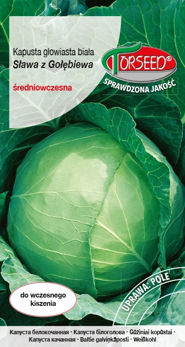 Cavolo cappuccio bianco Sława z Gołębiewo 2g