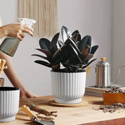 Vaso di fiori