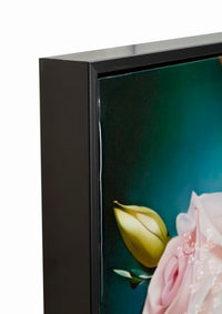 Dipinto Su Tela Laccato Fantasy C/Cornice B 72X4X102