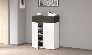 Scarpiera SAVONA 2 Ante e 1 Ribalta - Bianco Lucido/Report, Moderna e Compatta