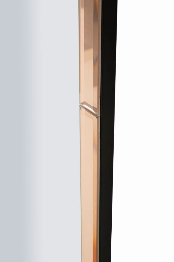 Specchio Da Muro Berlino Rosa Cm 55X2X150 Design Elegante