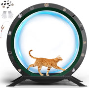 Ruota per gatti, ruota per esercizi per gatti, XL- 100 cm, ultra silenziosa con tappetino rimovibile, adesivi, sistema di bloccaggio, metallo, verde, regali per il vostro gatto