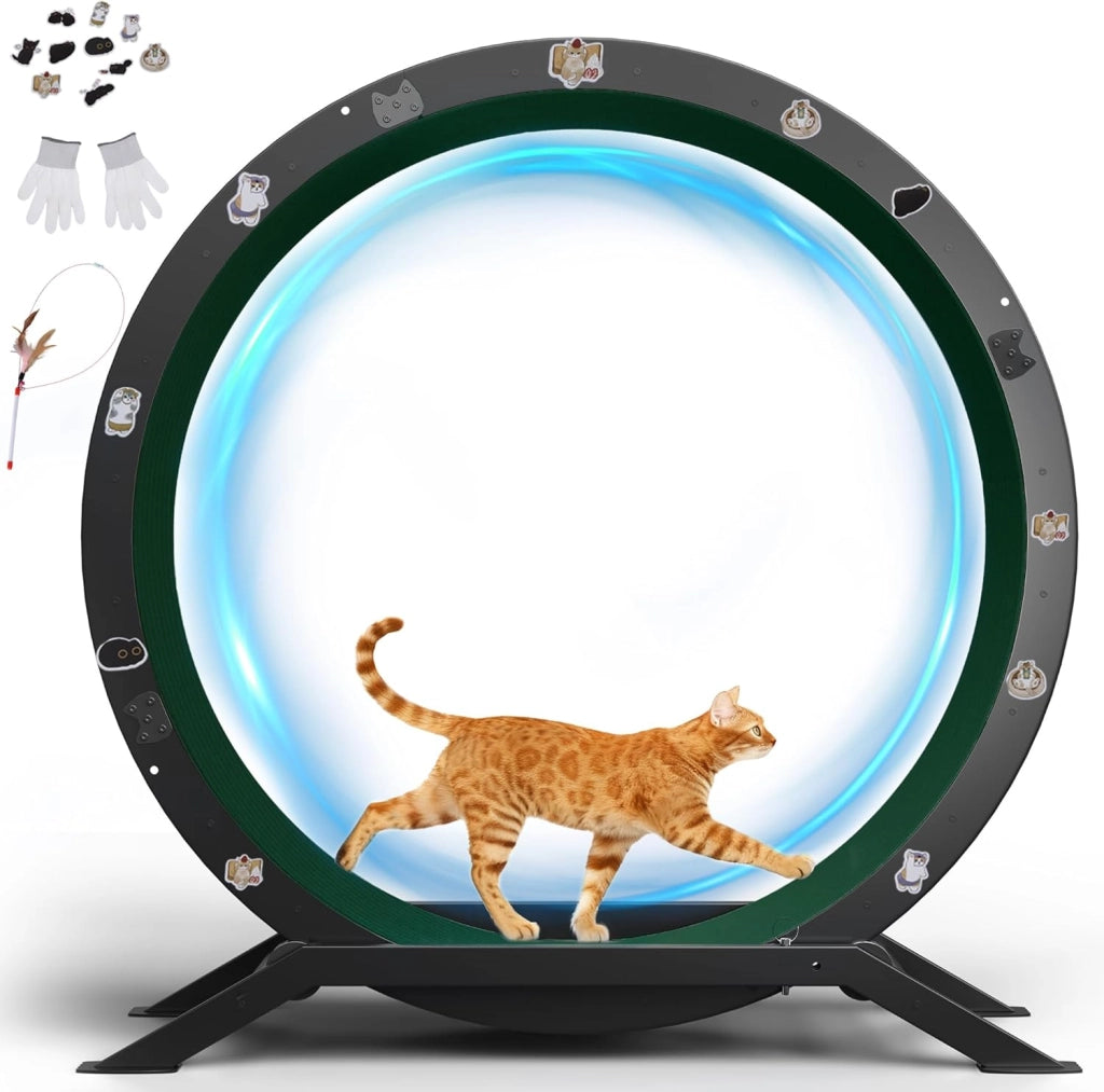 Ruota per gatti, ruota per esercizi per gatti, XL- 100 cm, ultra silenziosa con tappetino rimovibile, adesivi, sistema di bloccaggio, metallo, verde, regali per il vostro gatto