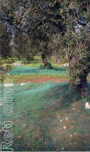 Rete antispina olive occhiellata Taglia: 4 X 6