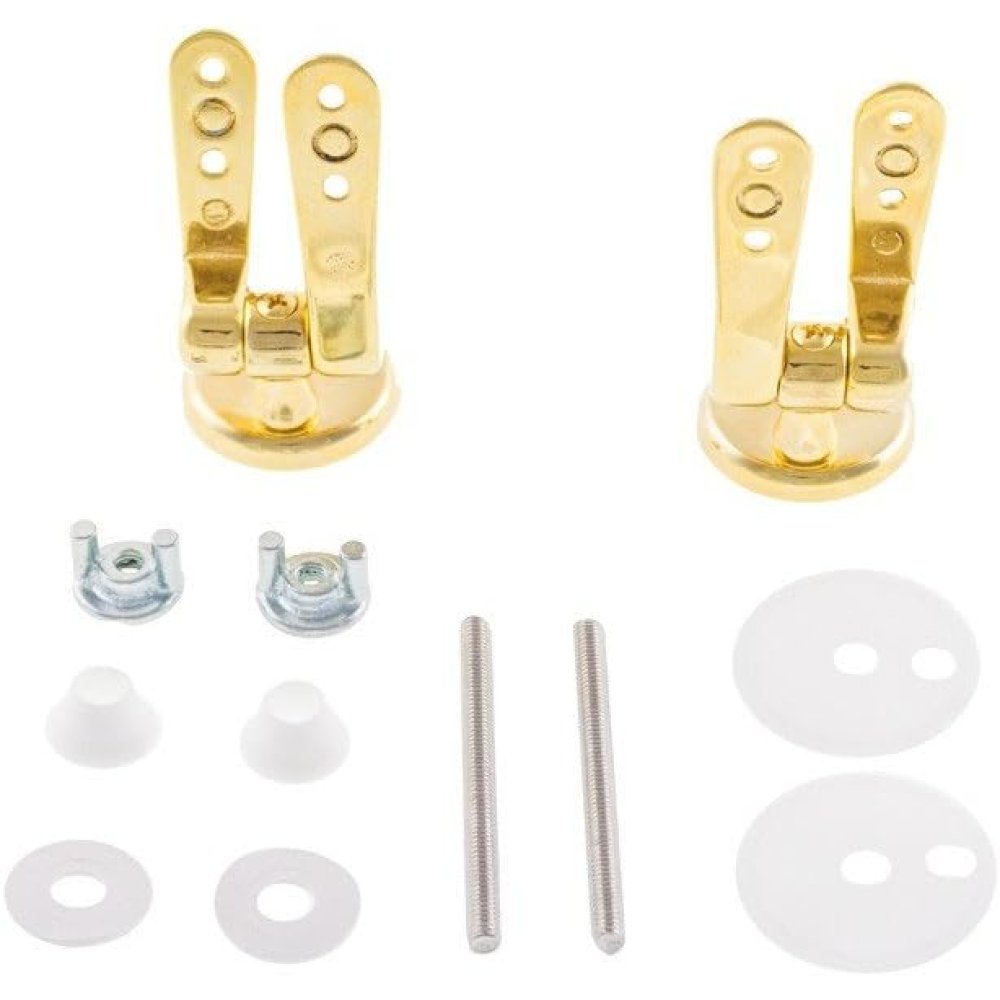 Cerniere coprivaso per sedile wc colore oro in ottone pesante at