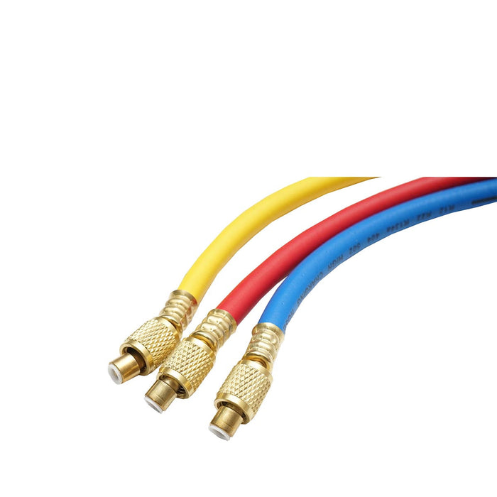 Batteria manometro a 2 vie per refrigerante AC R22 Breckner Germany