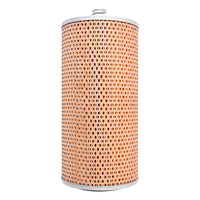 Elemento filtrante olio motore per CLAAS, Case IH – codici OEM: P550041, H12110/2X, XO512, SO3327, 1335290, 3371420R1 Breckner Germany