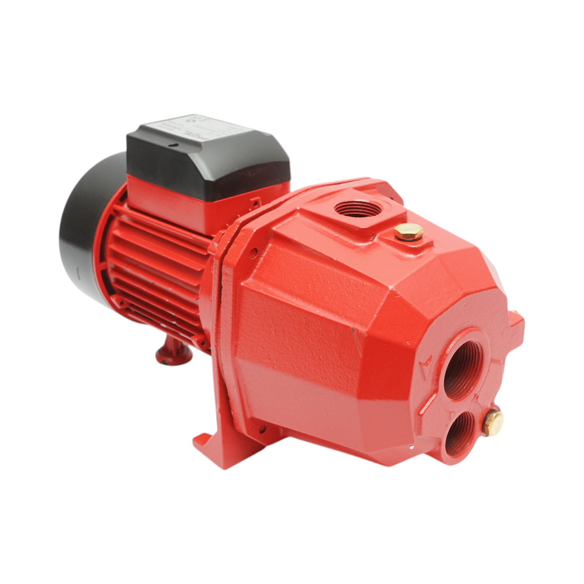 ELETTROPOMPA AUTOADESCANTE POMPA DI SUPERFICIE 750W, 220V, H42m, 80 L/min DP255 Breckner Germany