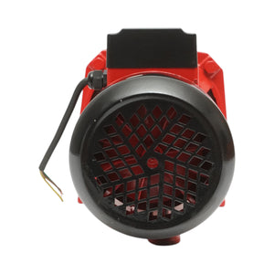 ELETTROPOMPA AUTOADESCANTE POMPA DI SUPERFICIE 750W, 220V, H42m, 80 L/min DP255 Breckner Germany