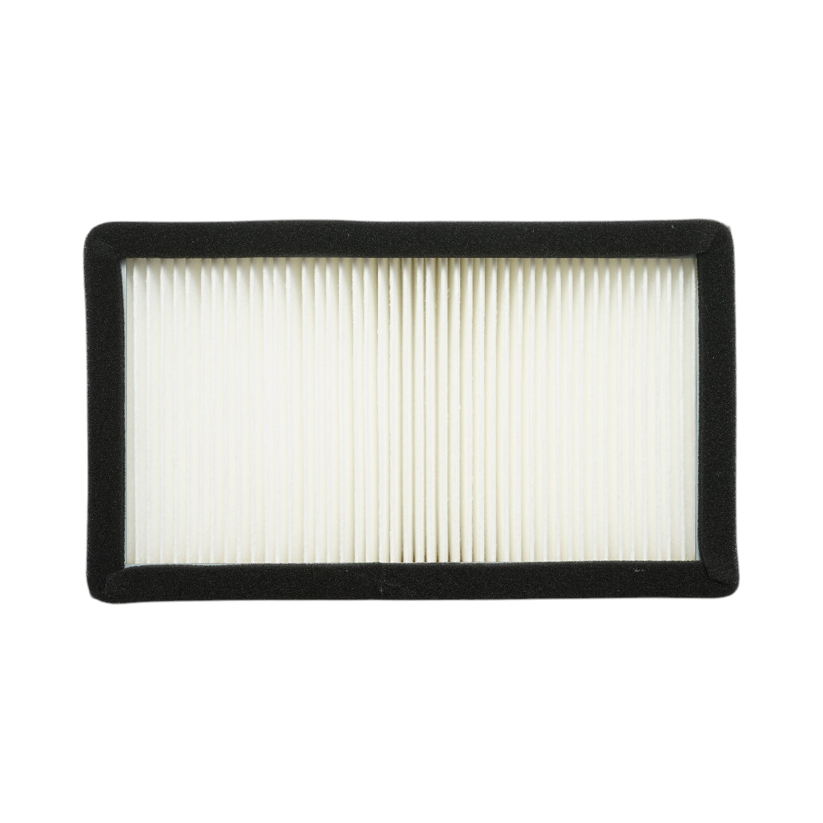 Filtro aria abitacolo Manitou, Lucas G 245x145x51mm codice OEM SKL46456, SC40094