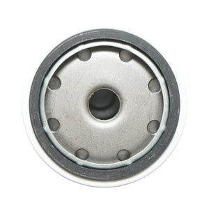 Filtro carburante Massey Ferguson, Case IH, Claas, Deutz, Fendt, New Holland 81x122mm, filettatura M16x1,5 codice OEM P553004, SN039