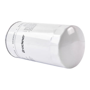 Filtro olio Iveco Eurocargo Eurostar Eurotech Eurotrakker Turbostar P550342, WP1169, XO185, SO417, 2997305