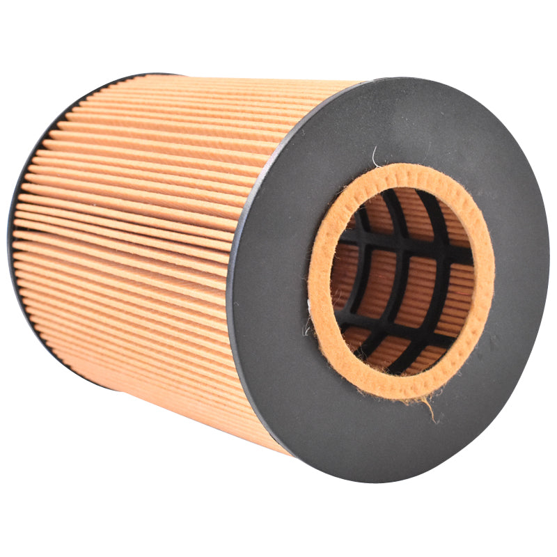 Filtro olio MAN TGA E2000 F2000 codice OEM P550765, HU1381X, XOE098, SO7074, 51055040098 Breckner Germany