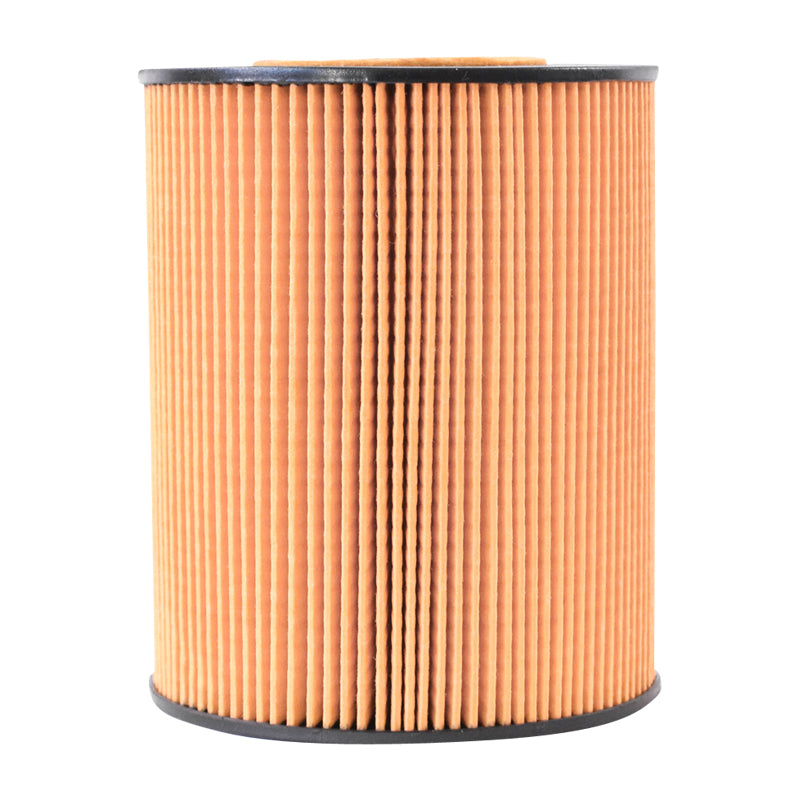 Filtro olio MAN TGA E2000 F2000 codice OEM P550765, HU1381X, XOE098, SO7074, 51055040098 Breckner Germany