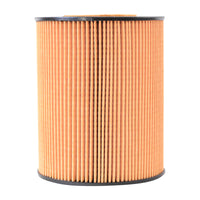 Filtro olio MAN TGA E2000 F2000 codice OEM P550765, HU1381X, XOE098, SO7074, 51055040098 Breckner Germany