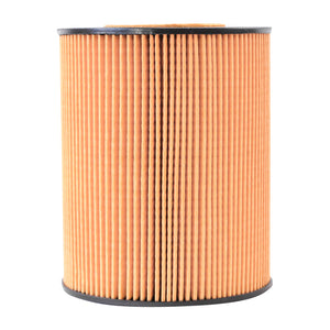 Filtro olio MAN TGA E2000 F2000 codice OEM P550765, HU1381X, XOE098, SO7074, 51055040098 Breckner Germany