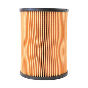 Filtro olio motore per DAF CF75, CF85, XF95 codice OEM P550630, XOE764, HU1270X, SO11051 Breckner Germany