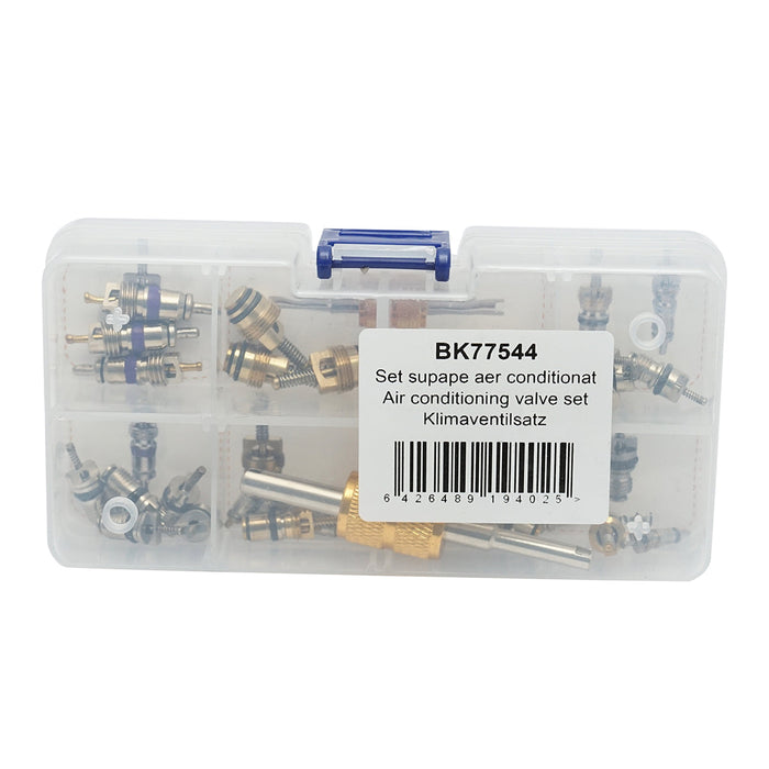 Kit valvola aria condizionata con chiave Breckner Germany