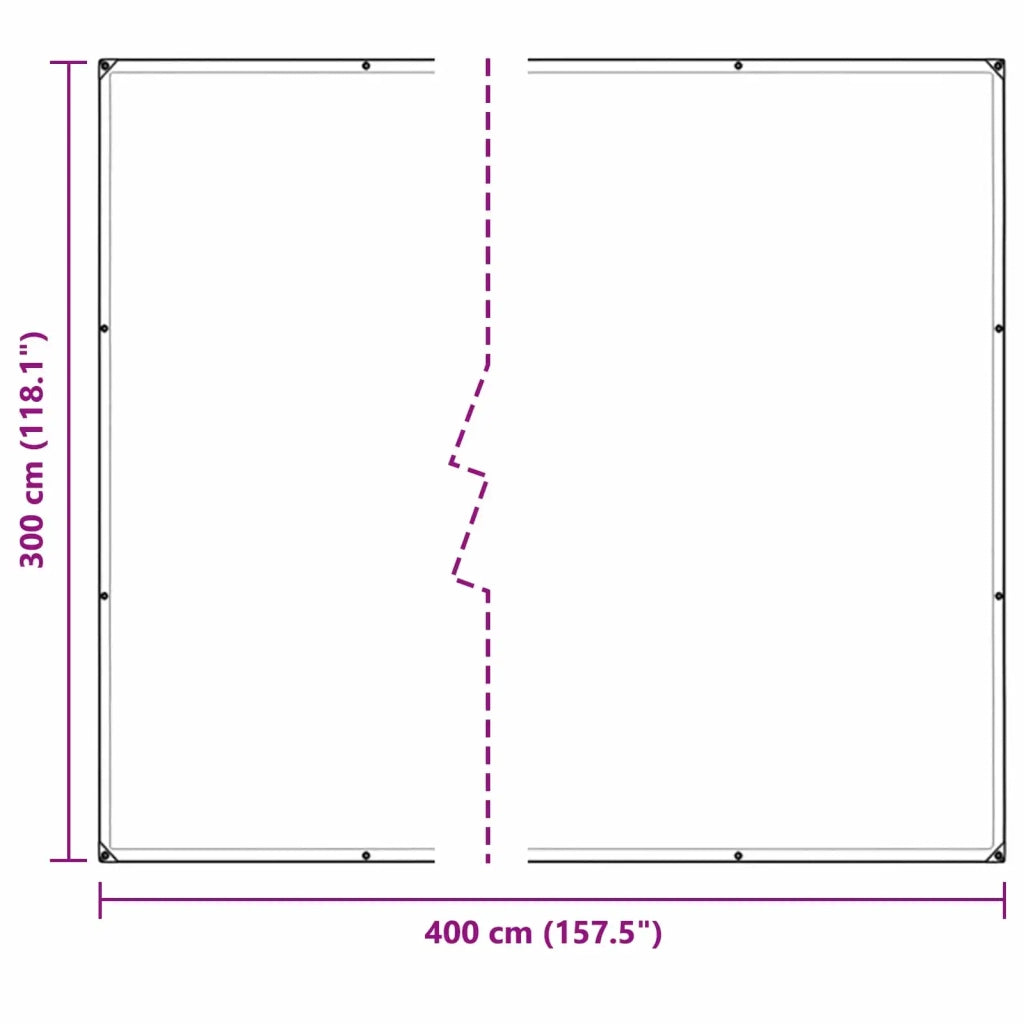 Copertura per Piante Trasparente 3 x 4 m PE CFW3402383