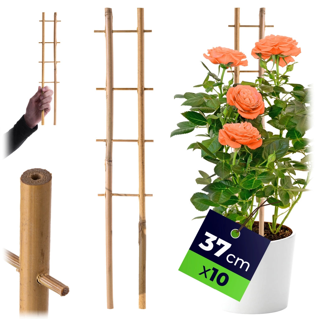 KADAX Drabinka bambusowa podwójna 37cm 100767 BAM3