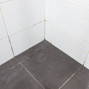 GEL POTENTE CON SPAZZOLA PER FUGHE 0,25L HG