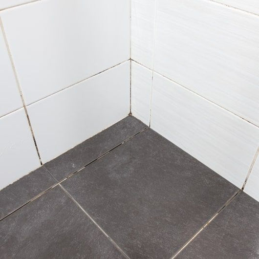 GEL POTENTE CON SPAZZOLA PER FUGHE 0,25L HG