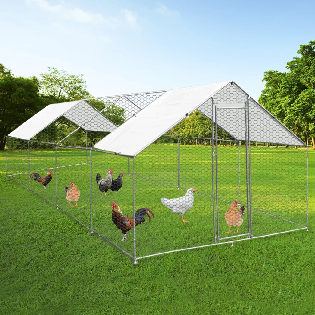 Gabbia Pollaio Recinto Recinzione Box Inox da Galline Pollame Polli 3m x 8m x 2m