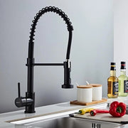 Cranio da Cucina a 360° con Caricatore a Molla - 2 Modalità di Spray - Acciaio Inox