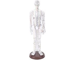 Modello di Acupressione Maschile/Femminile - Modello di Punti di Pressione/Meridiani - Modello di Punti di Acupressione del Corpo - Modello di Pratica di Acupressione - Definizione Alta della Gravure - Posizionamento Preciso