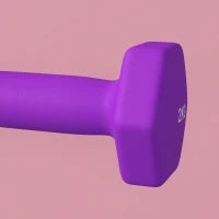 Set 2 Manubri 2x2 kg Esagonali e Antiscivolo per Casa e Palestra, in Metallo e Plastica, 16x7.5x7.5 cm, Viola