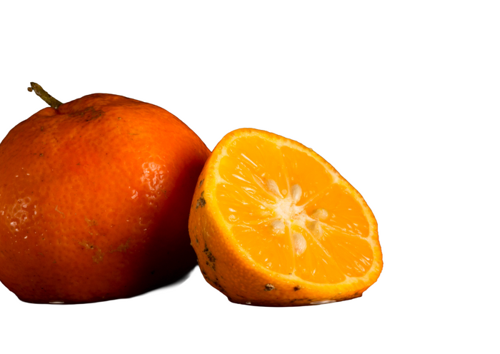 Limone mandarino Limomandarino Limetta Rossa alberetto in vaso 14 cm AMDGarden