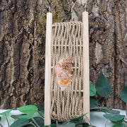 Scivolo Premium in Rete e Legno per Piccoli Animali - Lucertola, Camaleonte, Hamster, Chinchilla - Giocattoli e Accessori