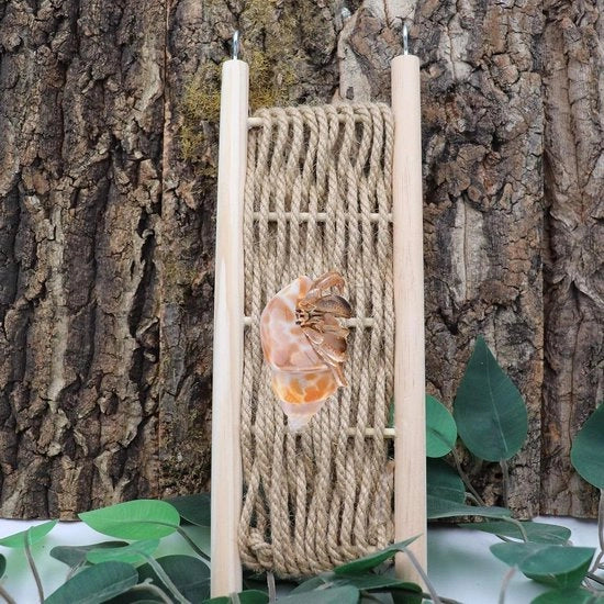 Scivolo Premium in Rete e Legno per Piccoli Animali - Lucertola, Camaleonte, Hamster, Chinchilla - Giocattoli e Accessori