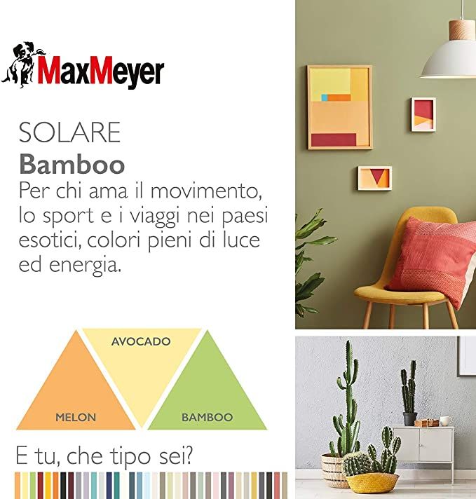 PITTURA MURALE HOME COLOR BAMBOO 0,750 LT
