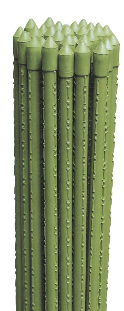 Cannette Supporto Tutore X Piante Plastificate Cm 120X11 5Pz - Biacchi Ettore