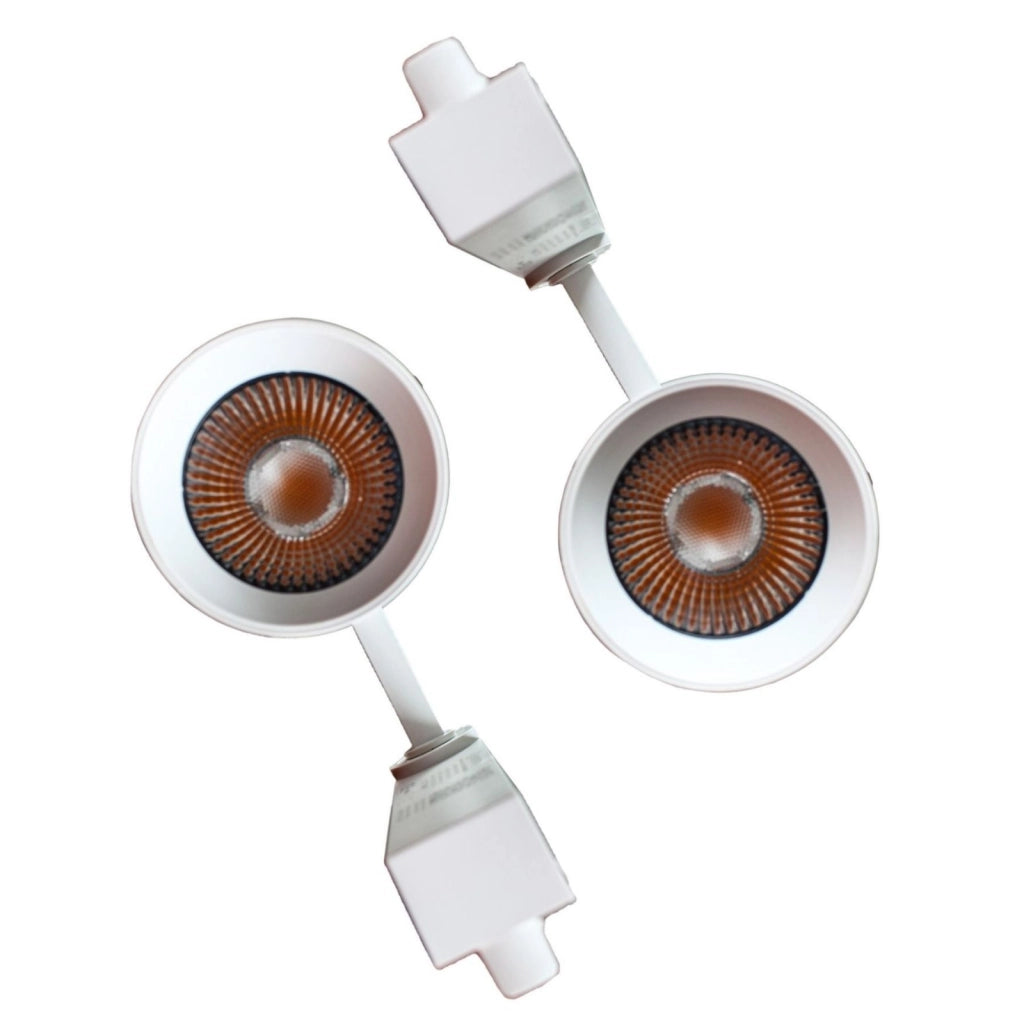 2 Pezzi Faro Bianco Mono Fase 30W 3000K