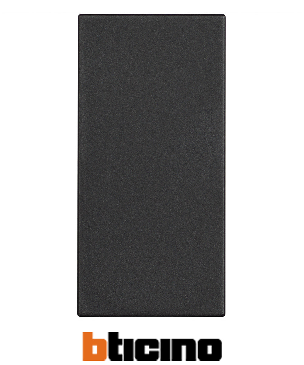 Bticino tasto falso polo Colore grigio