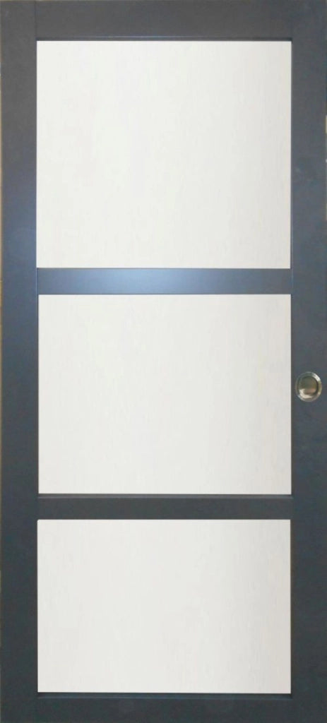 Vetro rivestito grigio antracite Porta scorrevole larghezza 93 + 2 gusci installati