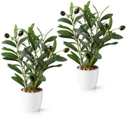 Set di 2 alberi di olivo in ceramica bianca (26 cm)