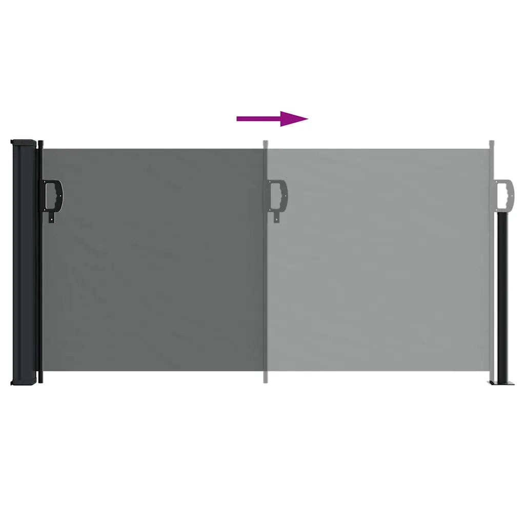 Tenda da sole laterale retrattile antracite 100x300 cm 4004278